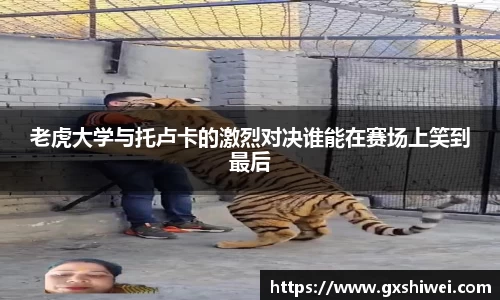 tyc122cc太阳成